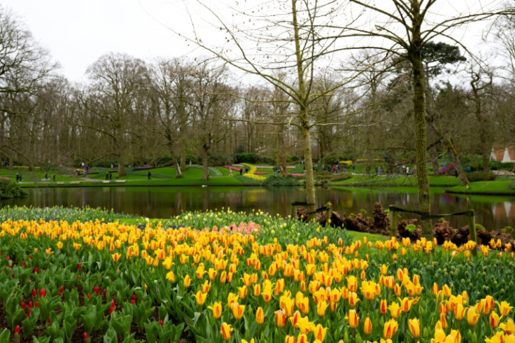 The gardens contain millions of tulips of every colour as well as other flowers across 32 hectares