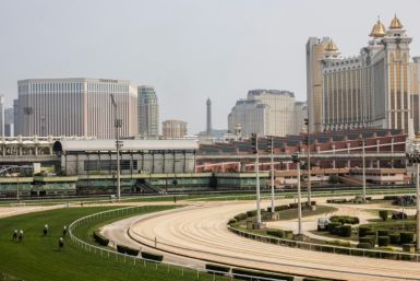 Horses race at one of the final meetings in Macau, with with glitzy casino resorts towering in the distance