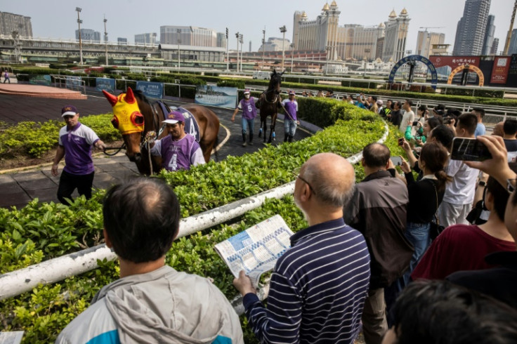 Punters assess horses in the parade ring at one of Macau's final race meetings on March 17