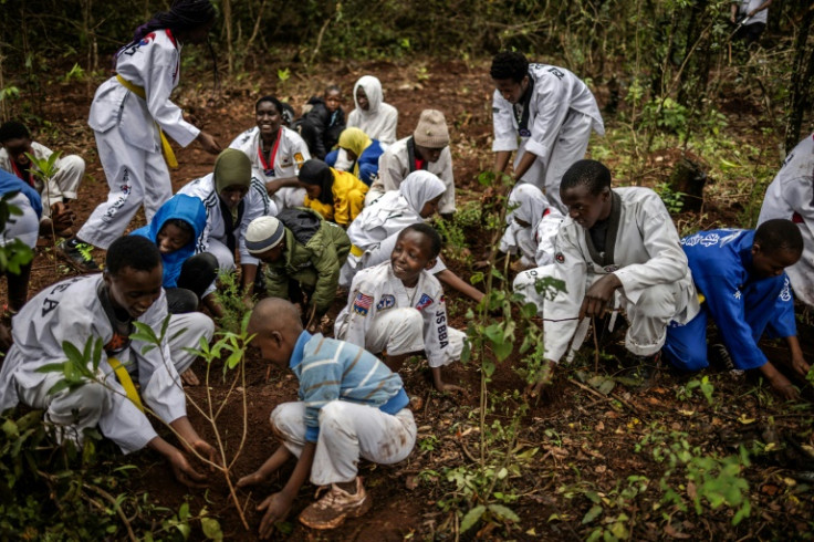 Kenya has a nationawide tree-planting public holiday every November 13