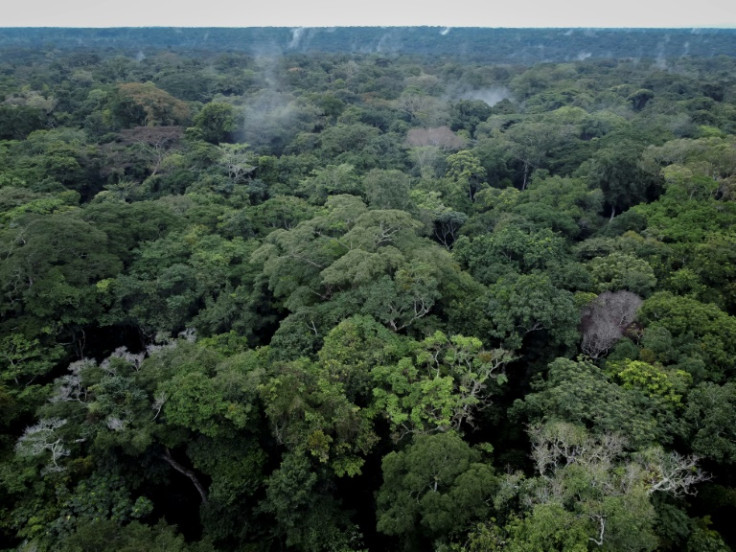 Tropical environments like the Congo Basin boast high carbon storage and low changes in albedo