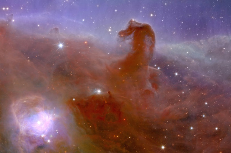 The Horsehead Nebula, one of the first images captured by Europe's Euclid space telescope