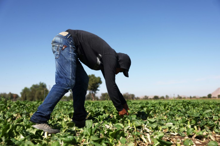 The agricultural sector depends on migrants in large parts of the United States