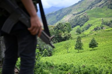 A member of the Carlos Patino Front patrols alongside coca crops in Micay Canyon, a mountainous area and guerilla stronghold in southwestern Colombia