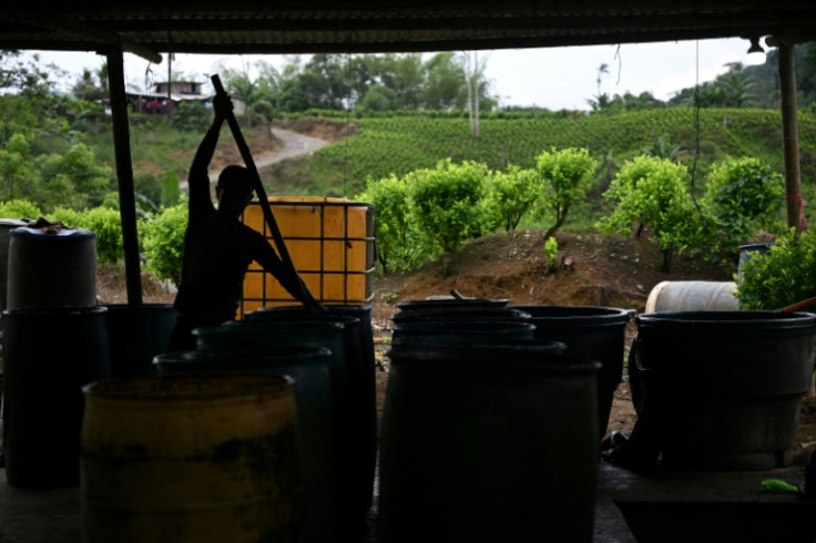 A man works at a coca paste laboratory in Micay Canyon