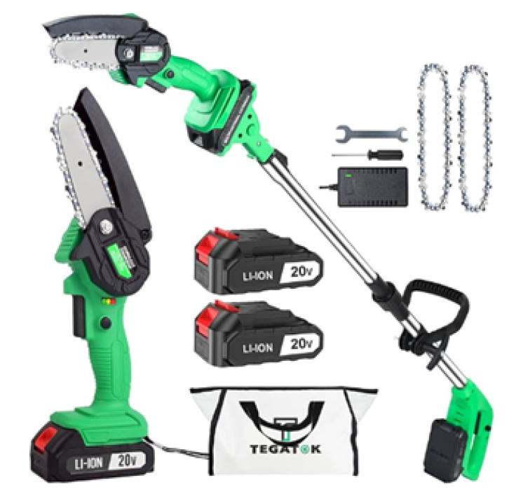 Cordless Pole Saw & Mini Chainsaw