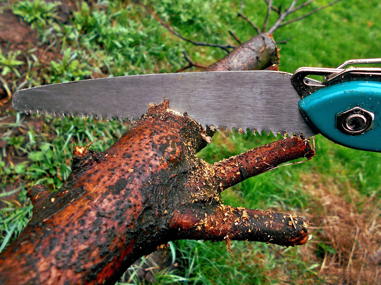 15 Best Battery-Powered Pole Saws Of 2024: Trim Your Way To A