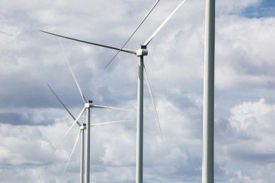 The EU wants to ramp up its renewable energy capacity as it aims for net-zero greenhouse gas emissions by 2050, while moving away from excessive reliance on cheaper Chinese wind and solar technology