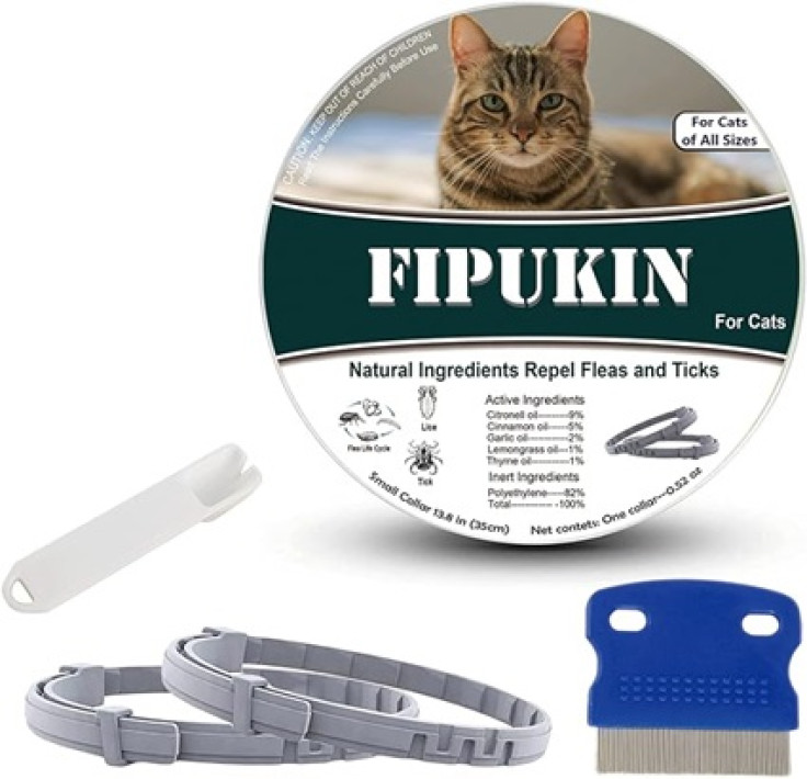 Fipukin (affiliate)