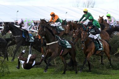 Spectators will still expect thrills and spills in a reformed Grand National as AFP picks a quintet to light up the race this year