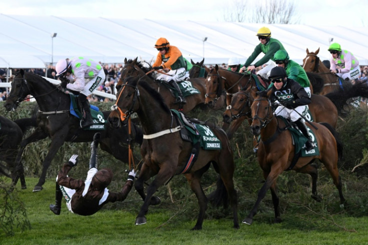 Spectators will still expect thrills and spills in a reformed Grand National as AFP picks a quintet to light up the race this year