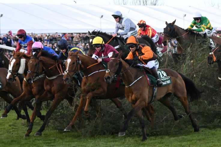 Noble Yeats (3R) is back to try and reclaim the Grand National title he won in 2022