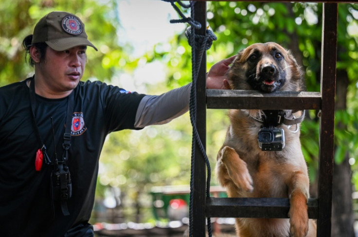 There are concerns that there might not be enough of dogs if a major earthquake were to hit the sprawling metropolis of Manila