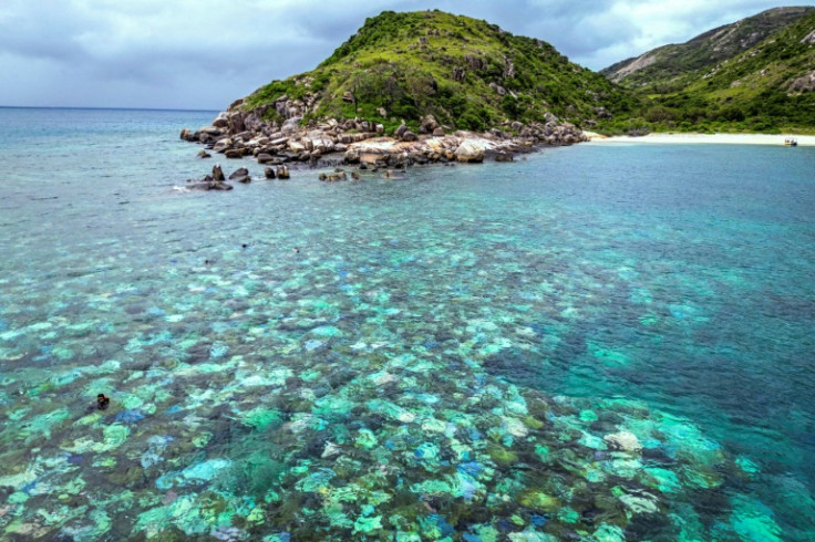 As the planet continues to warm, bleaching is forecast to reduce global coral cover by 95 percent if temperatures warm by about two degrees