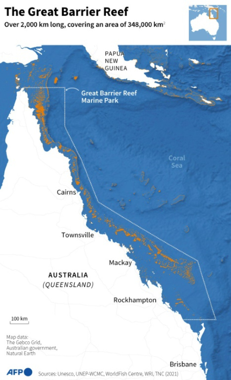 Australia's Great Barrier Reef Struggles To Survive