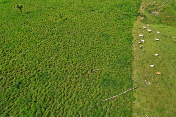 Experts say FARC dissidents earn millions by allowing loggers, miners and farmers to deforest the Amazon