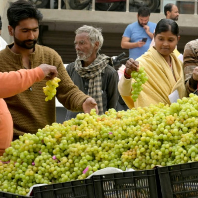 India has been expanding its grape production. A fruit vendor in Amritsar