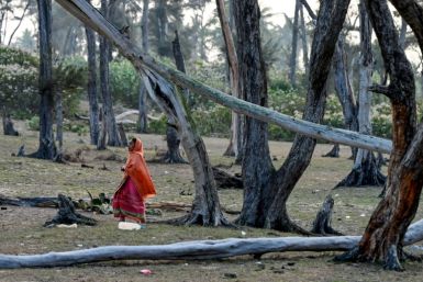 Satabhaya is the hardest-hit of several rural idylls along the seafront in India's Odisha, a state that has also been battered in recent decades by tropical cyclones and floods of increasing ferocity