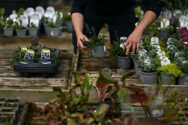 New import costs for companies could push up the prices British customers pay for plants and flowers