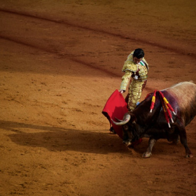 Bullfighting retains a passionate following in some circles in Spain and leading matadors are treated as celebrities