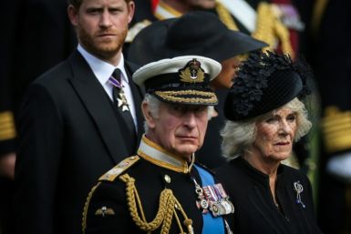 King Charles III will not meet his younger son Prince Harry this week