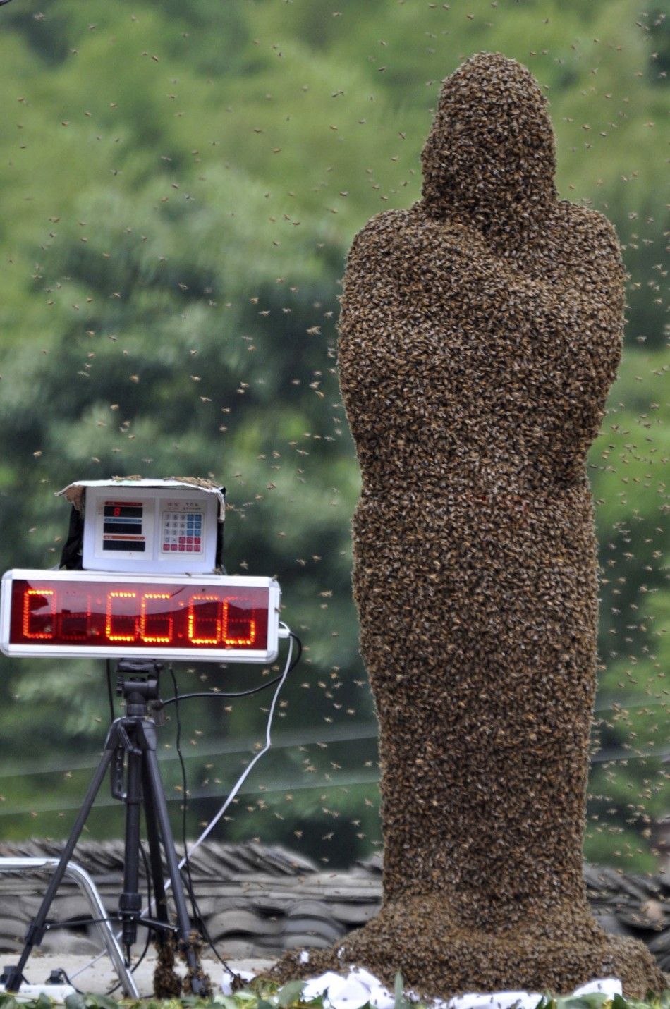 Chinese Beekeeper Wears 57 Pound Suit Of Buzzing Bees Photos Ibtimes