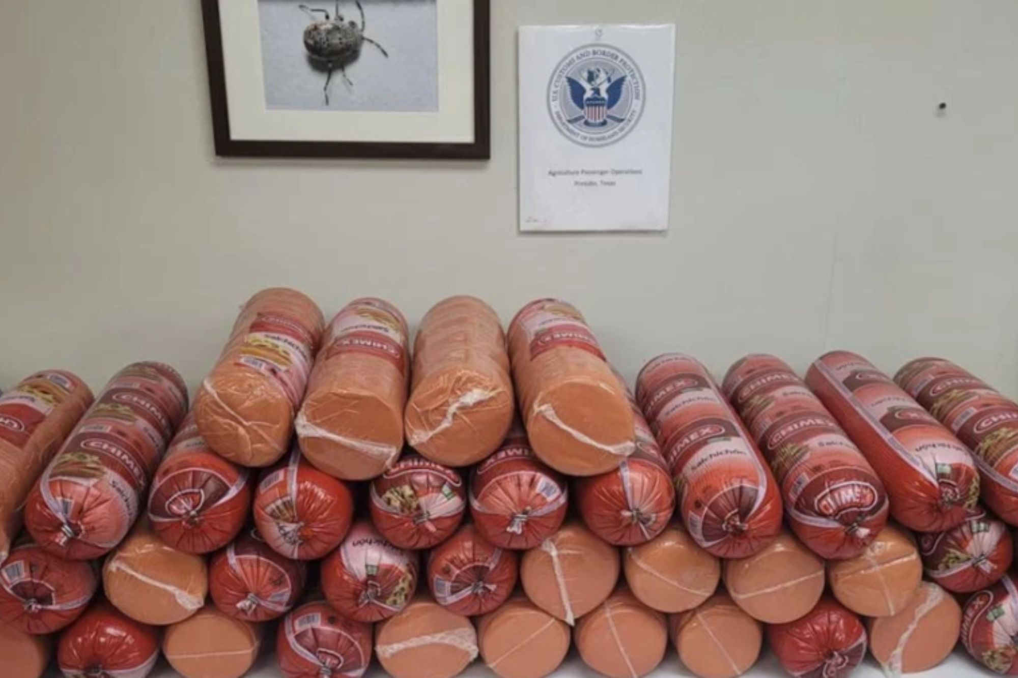 Woman Caught Trying to Sneak Drugs, 750 Pounds of Illegal Bologna Across US-Mexico Border