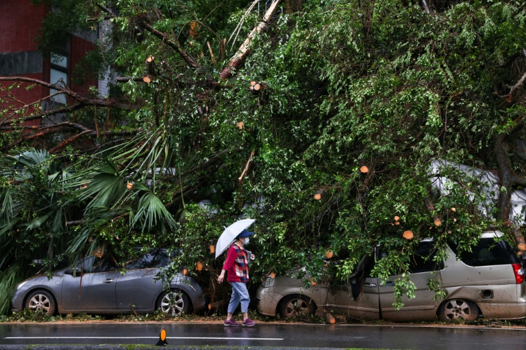 https://d.ibtimes.com/en/full/4558294/damaged-cars-lie-underneath-fallen-trees-northeastern-city-keelung-after-typhoon-kong-rey-made.jpg