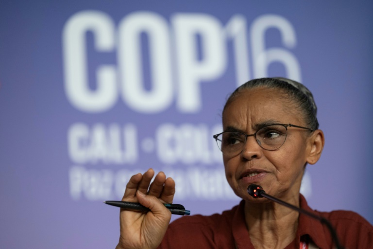 https://d.ibtimes.com/en/full/4558320/brazils-environment-minister-marina-silva-says-compensation-digitally-sequenced-genetic-data.jpg