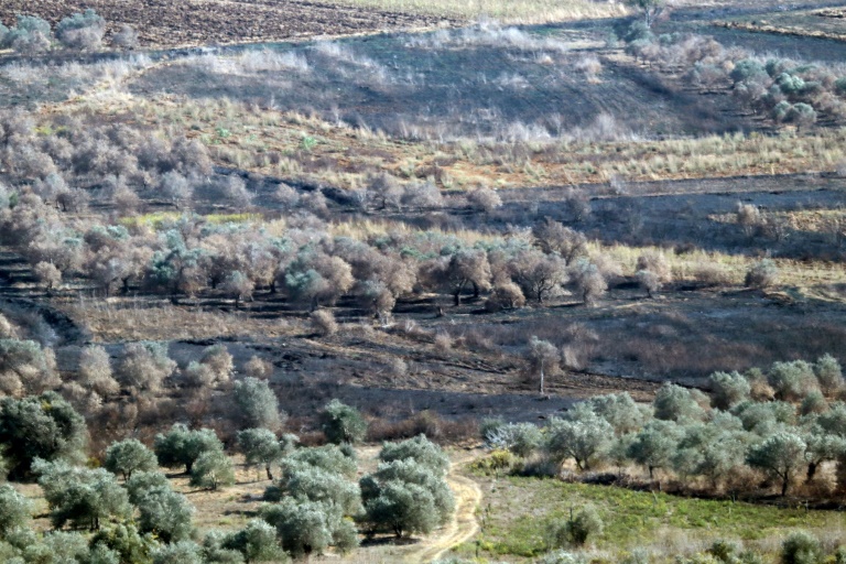 https://d.ibtimes.com/en/full/4558957/conflict-has-displaced-more-half-million-people-including-farmers-who-abandoned-their-crops.jpg