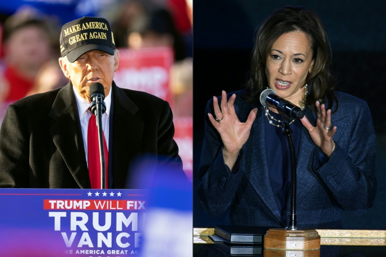 https://d.ibtimes.com/en/full/4558961/outcome-us-election-trump-l-harris-unlikely-revitalise-ties-turkey.jpg