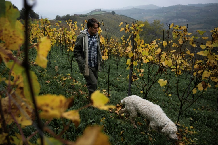 https://d.ibtimes.com/en/full/4560726/introduced-truffle-hunting-age-five-family-friend-carlo-marenda-42-founded-save.jpg