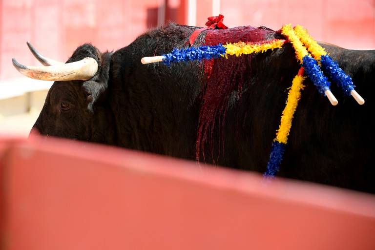 https://d.ibtimes.com/en/full/4561347/french-legislation-bans-cruelty-animals-bullfighting-outlawed-most-france.jpg