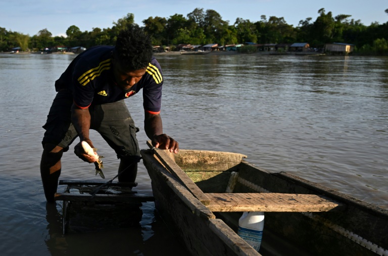 https://d.ibtimes.com/en/full/4561560/fishmongers-along-colombias-atrato-river-complain-they-cant-find-buyers-their-catch-because.jpg