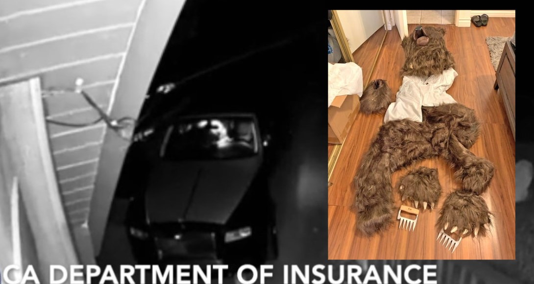 https://d.ibtimes.com/en/full/4561736/bear-suit-insurance-fraud-case.jpg