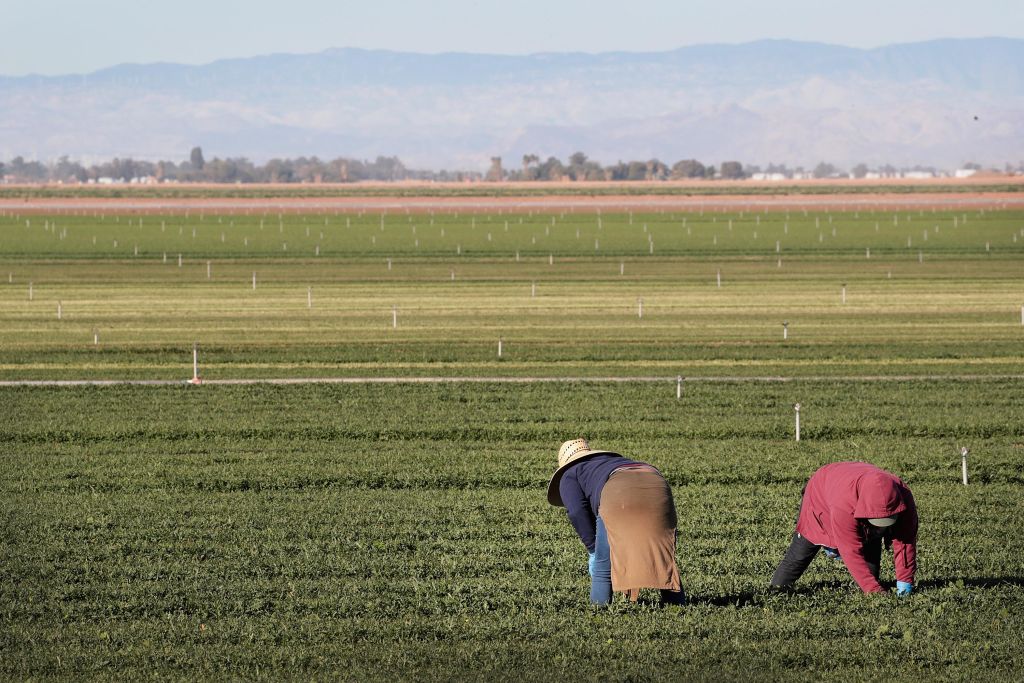 https://d.ibtimes.com/en/full/4564248/farm-workers.jpg