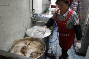 Woman cooks dog meat