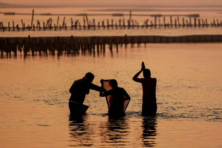 https://d.ibtimes.com/en/full/4571524/kumbh-mela-indias-religious-festival-ritual-bathing-held-once-every-12-years-site-where.jpg