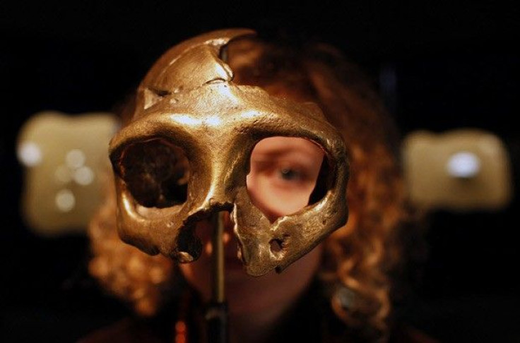 A girl looks through the replica of a neanderthal skull displayed in the Neanderthal Museum in Krapina, Croatia.