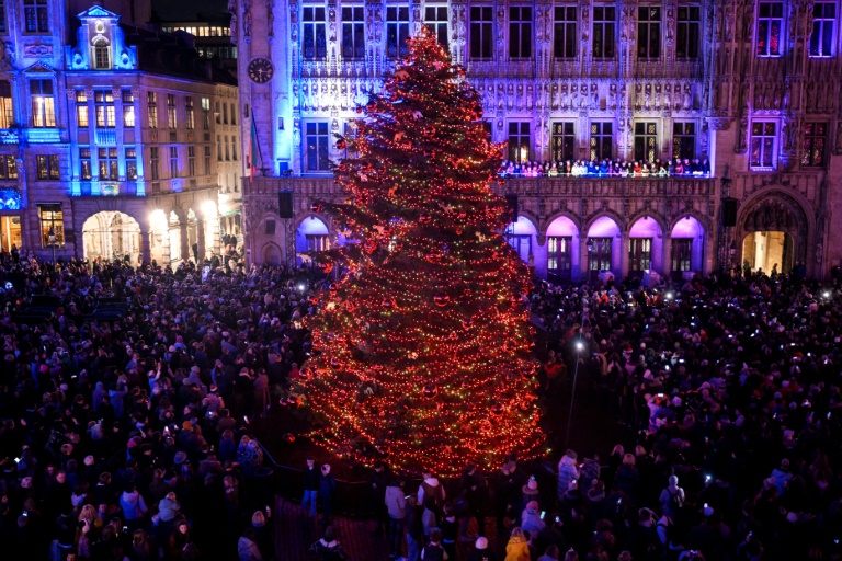 https://d.ibtimes.com/en/full/4573687/belgiums-food-safety-agency-warned-public-about-eating-christmas-trees.jpg