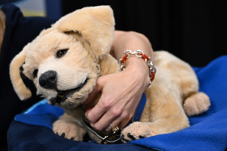 https://d.ibtimes.com/en/full/4573950/tombot-dog-robot-companion-elderly-meant-sooth-people-suffering-cognitive-decline-while-not.jpg