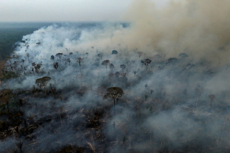 https://d.ibtimes.com/en/full/4577208/some-308-million-hectares-119000-square-miles-vegetation-were-burned-brazil-2024-79.jpg