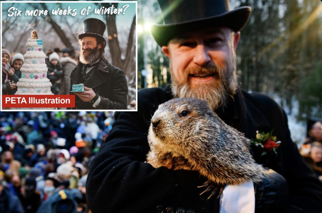 https://d.ibtimes.com/en/full/4579948/groundhog-day.png