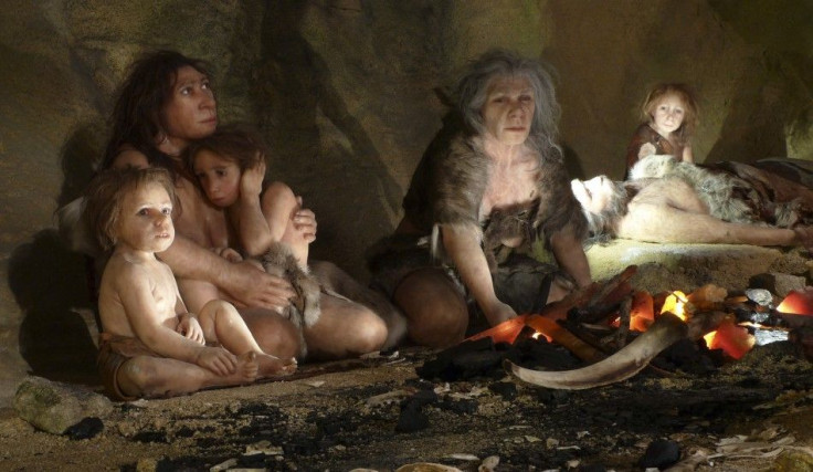 Neanderthal Museum