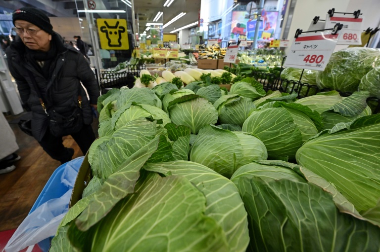 https://d.ibtimes.com/en/full/4583945/january-price-cabbage-almost-tripled-year-year-after-last-years-record-summer-heat.jpg