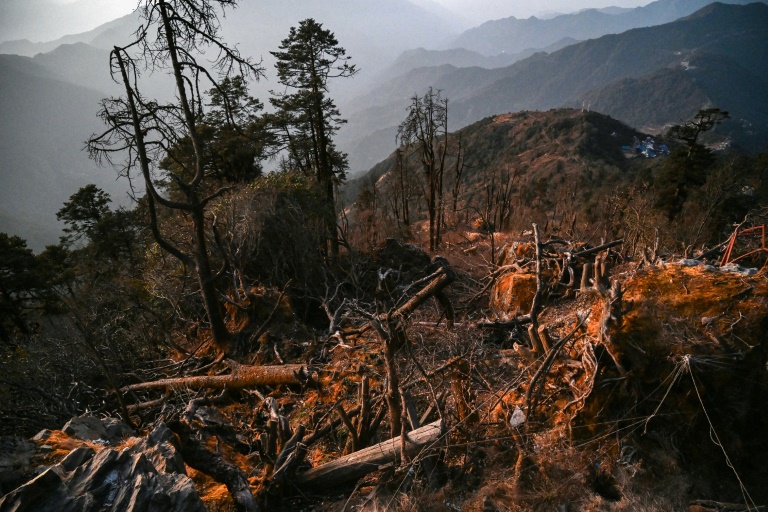 https://d.ibtimes.com/en/full/4583982/critics-nepals-cable-car-projects-accuse-government-failing-assess-environmental-impact.jpg