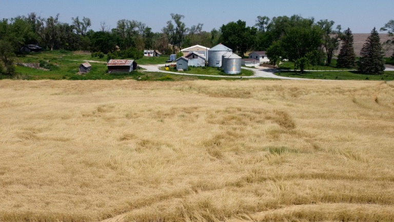 https://d.ibtimes.com/en/full/4585862/china-set-impose-fresh-tariffs-15-percent-us-wheat-several-other-farm-products.jpg