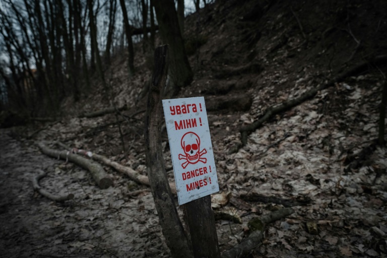 Poland, Baltics Signal Plans To Withdraw From Landmines Treaty thumbnail