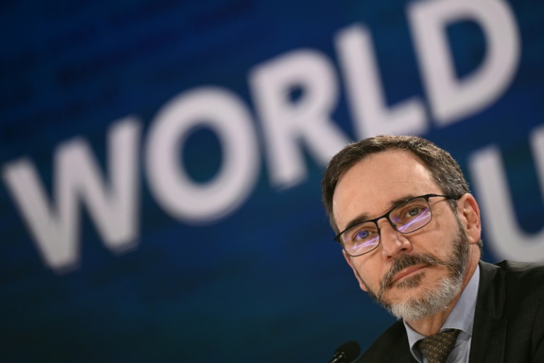https://d.ibtimes.com/en/full/4595656/international-monetary-fund-chief-economist-pierre-olivier-gourinchas-seen-april-2024-said.jpg