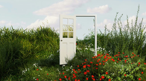 Door